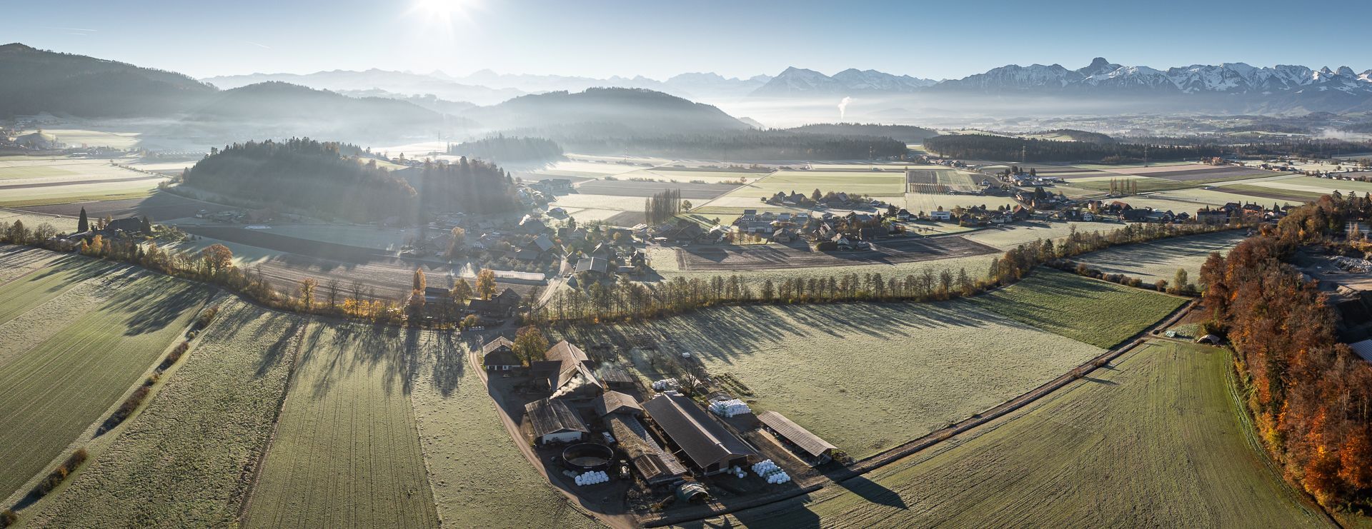 Headerbild
