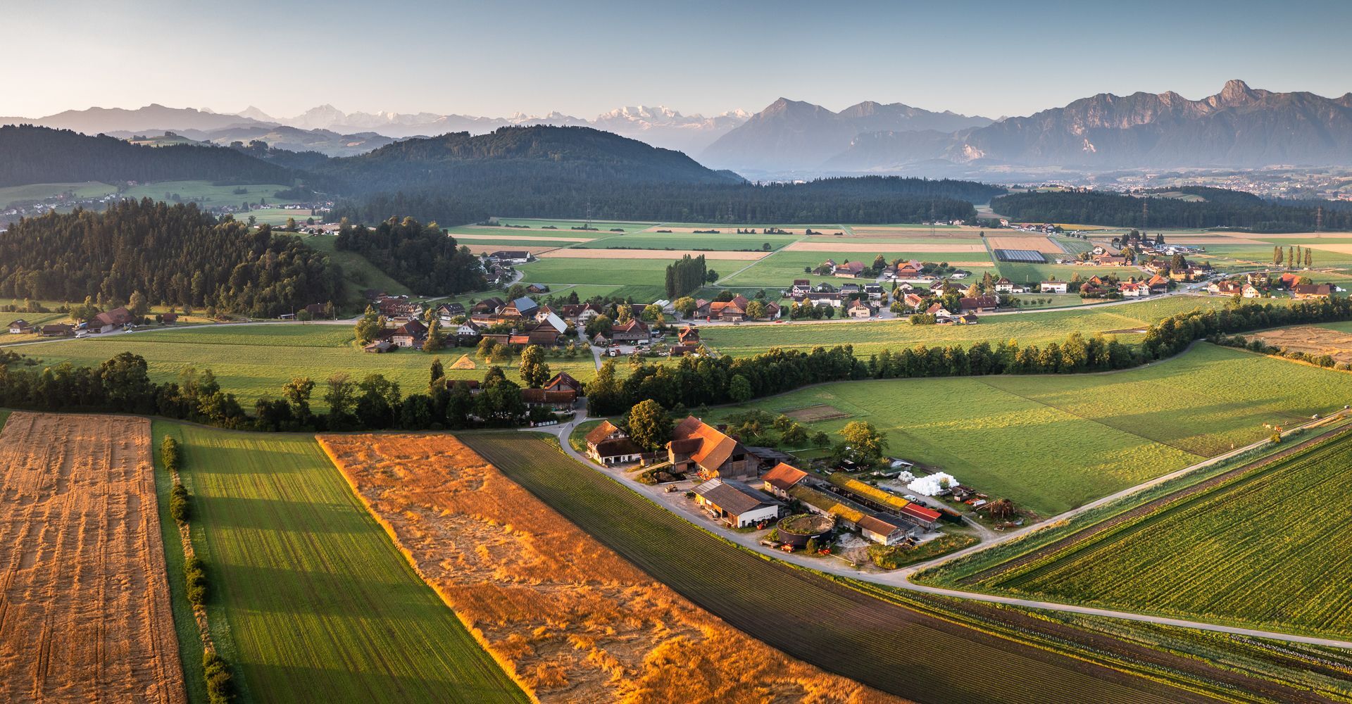 Headerbild
