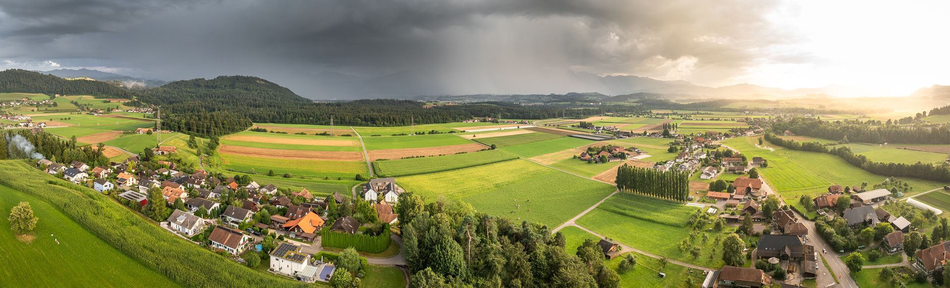 Headerbild