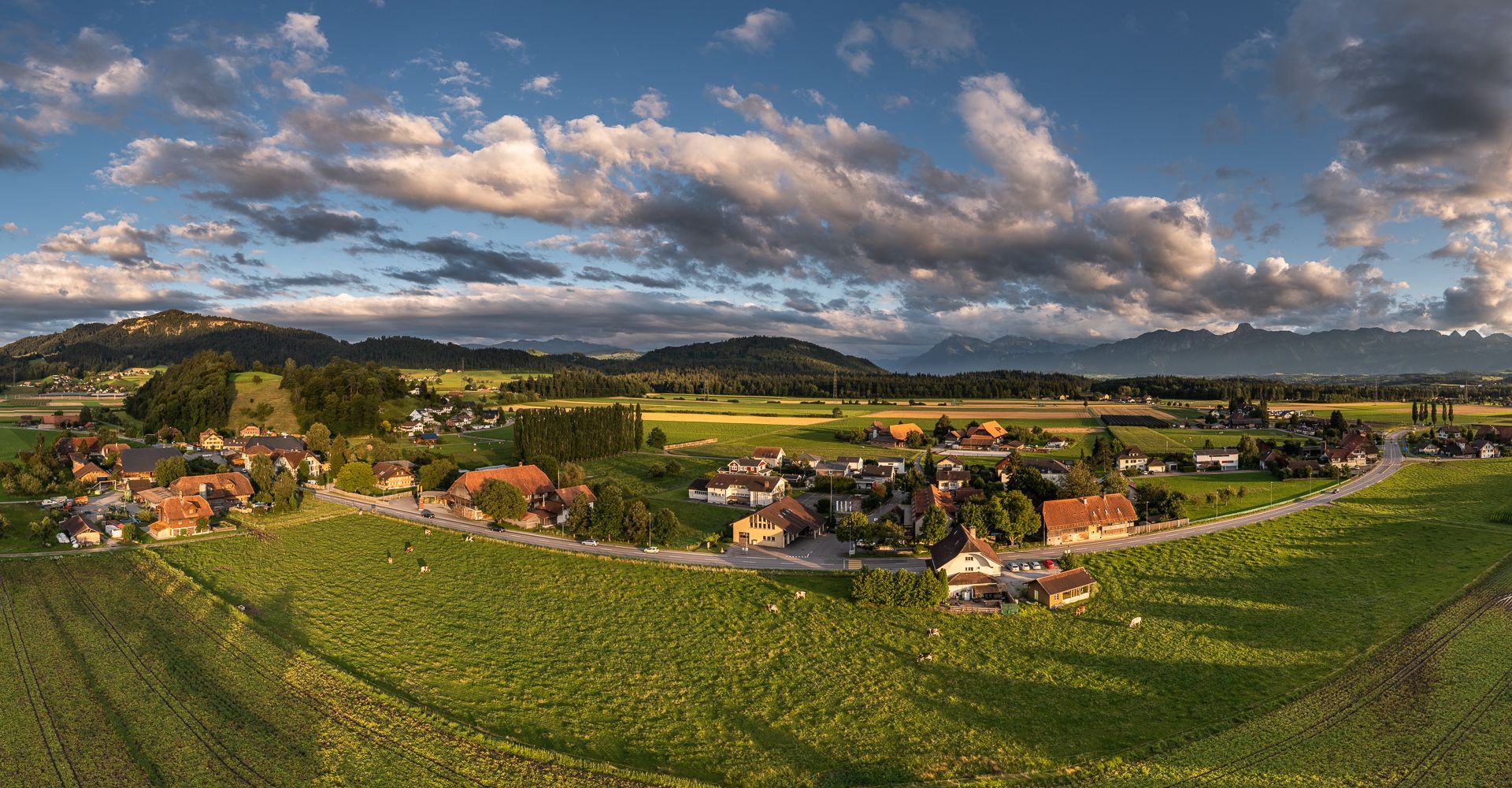 Headerbild