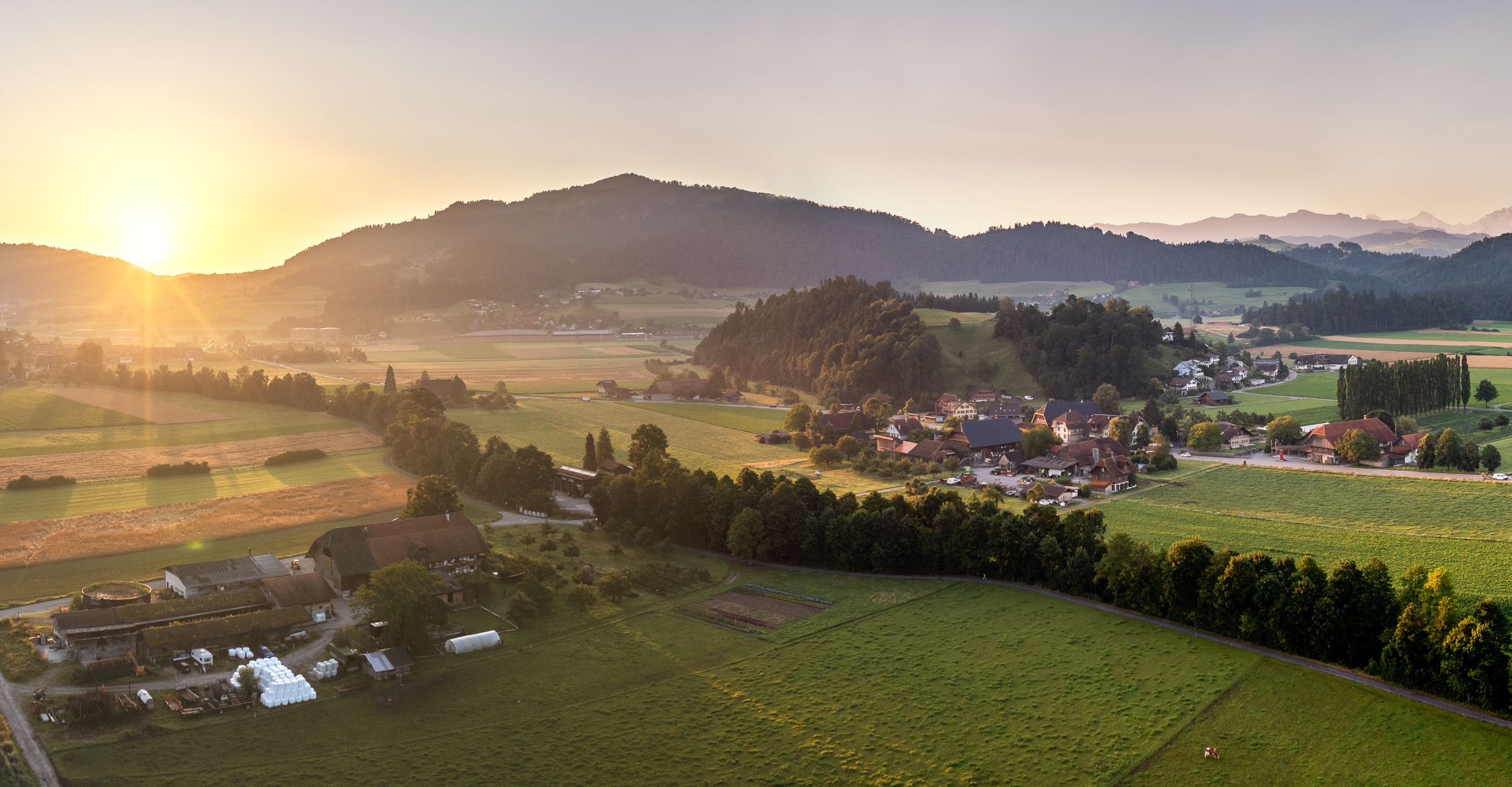 Headerbild