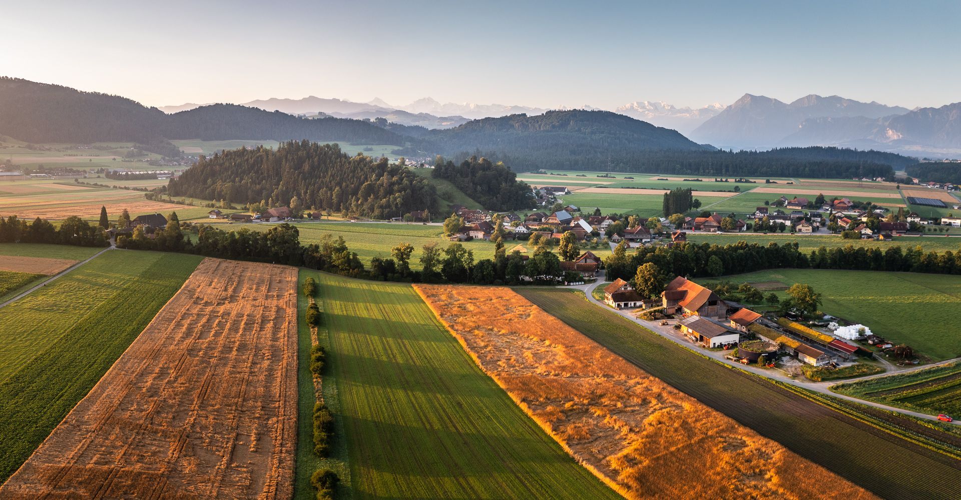Headerbild